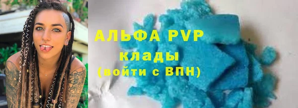 стафф Бородино