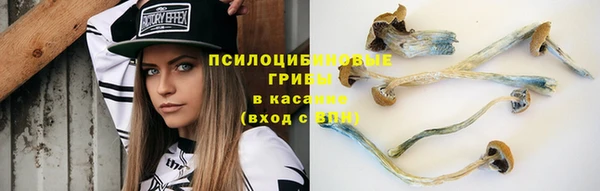 стафф Бородино