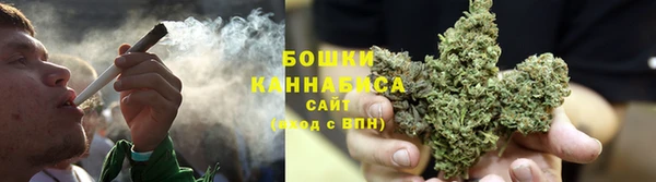 стафф Бородино