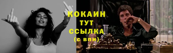 стафф Бородино