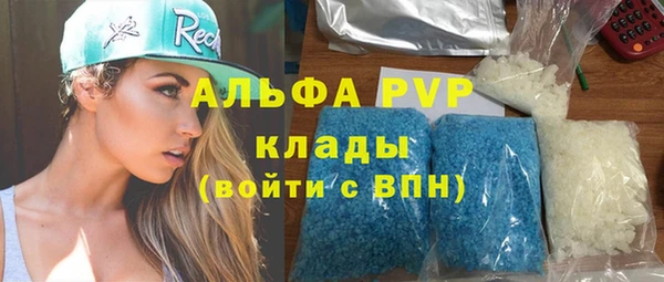 стафф Бородино