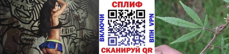 Канабис тримм  Купить закладки  Кингисепп 